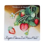 Wooden frame with Maletto strawberry – 20 cm