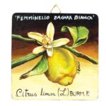 Etna IGP Femminello Lemon Wooden Artwork – 12 cm