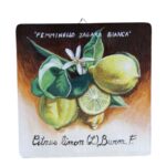 Quadretto siciliano Limone cm 20