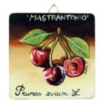 Quadro in legno con Ciliegia Mastrantonio DOP Etna cm 12