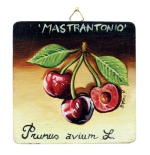 Quadro in legno con Ciliegia Mastrantonio DOP Etna cm 12