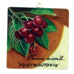 Quadro in legno con Ciliegia Mastrantonio DOP Etna cm 15