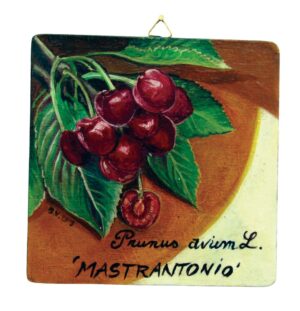 Quadro in legno con Ciliegia Mastrantonio DOP Etna cm 15