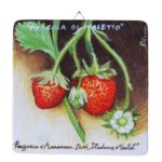 Quadro in legno con Fragola di Maletto cm 15