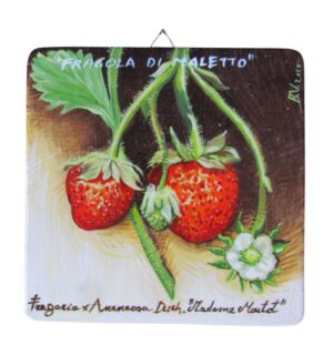 Quadro in legno con Fragola di Maletto cm 15