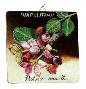 Quadro in legno con Pistacchio DOP Bronte cm 15