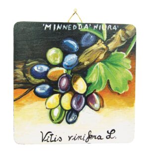 Quadro in legno con vitigno Minnedda Niura Etna cm 12