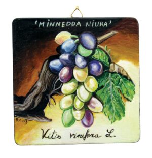 Quadro in legno con vitigno Minnedda Niura Etna cm 15