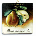 Quadro in legno Pera Spineddu Etna cm 15