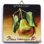 Quadro in legno Pera Spineddu Etna cm 12